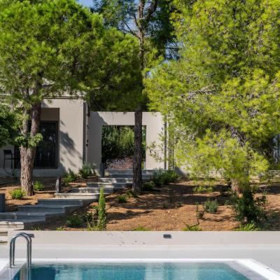 Akrotiri Suites Pool